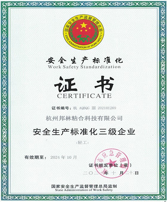 安全生产标准证书